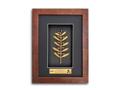 Special Design Frame Award Series