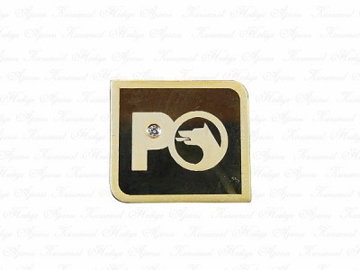 Custom Design Gold Pin