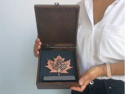 Sycamore Leaf Decorative Plaque Bronze (Small)