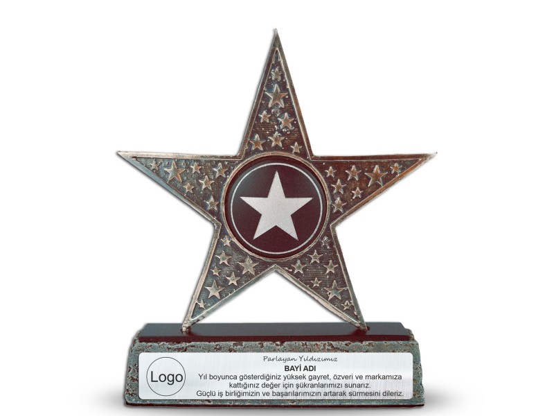 Parlayan Yıldızımızsın Temalı Dekoratif Plaket (Gümüş)