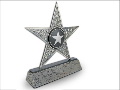 Parlayan Yıldızımızsın Temalı Dekoratif Plaket (Gümüş)