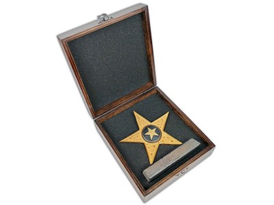 Parlayan Yıldızımızsın Temalı Dekoratif Plaket (Altın)
