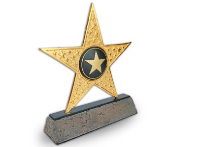 Parlayan Yıldızımızsın Temalı Dekoratif Plaket (Altın)