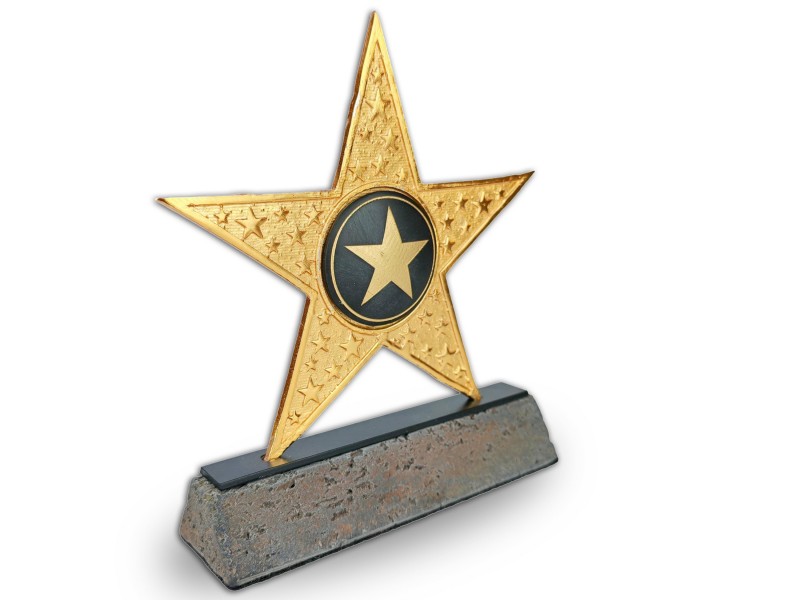 Parlayan Yıldızımızsın Temalı Dekoratif Plaket (Altın)